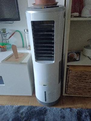 korbsessel und ventillator Bild 2