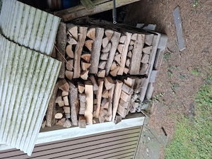 Brennholz Hartholz Bild 2