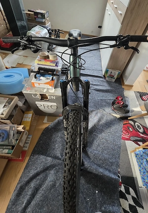 Giant fully Reign 1 Bild 5