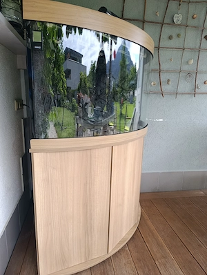 Juwel Eckaquarium Bild 4