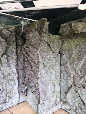 Juwel Eckaquarium Bild 6
