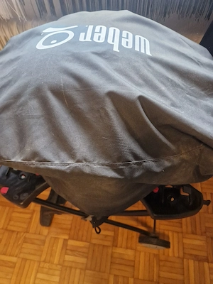 Elektrogrill Weber Bild 5
