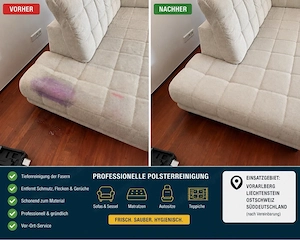    Professionelle Couch- & Polsterreinigung | Vorarlberg   CH   LI   DE Bild 2