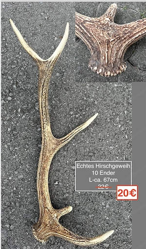 Gehörn Reh Kunststoff, Hirsch Deko-Pilze Bild 3