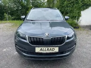 Skoda Karoq Bild 2