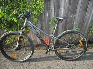 Cub Acces Bike Bild 2