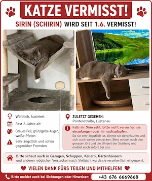 Katze in Lustenau vermisst