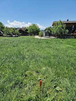 Privatverkauf: 321 m2 Baugrund in Altach mit Privatstraße Bild 6