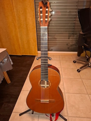 Gitarre Hanika neuwertig