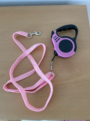 Halsband   Bild 2