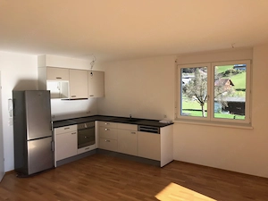 Wohnung inkl. TG-Platz in zentraler Lage in Zwischenwasser - Muntlix zu verkaufen - provisionsfrei!! Bild 3