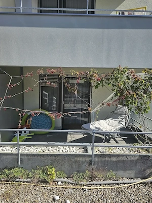 2 zimmer wohnung mit 2 balkon , ab dezember frei Bild 5