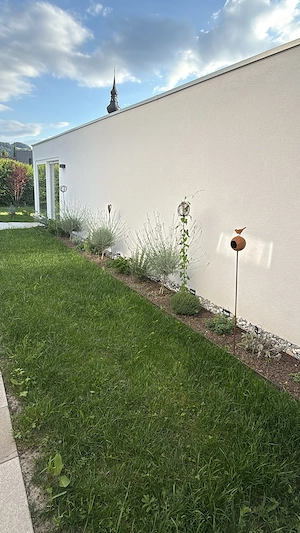 Sonnige 2-Zimmer-Wohnung mit Terrasse in Höchst Bild 10
