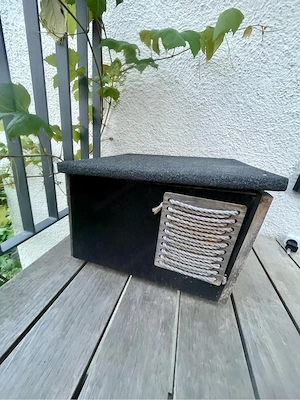 Katzenhaus Bild 2