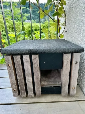 Katzenhaus Bild 3