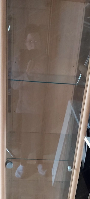 Glas Vitrine mit Holz braun Bild 2