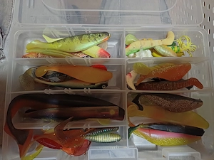Rapala und Gummifsche 