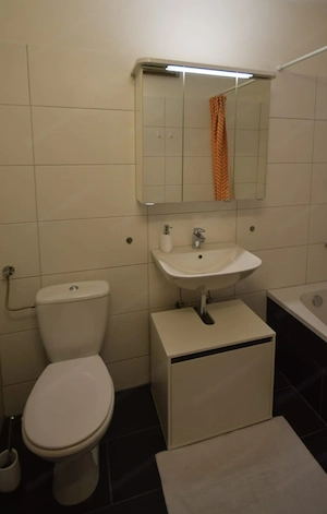 Große helle 1 bzw. 1,5 Zimmer-Wohnung zu vermieten von privat komplett möbliert in Bregenz Bodensee Bild 8