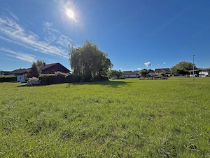 PRIVATVERKAUF: 814 qm Baugrund in der Bodenseegemeinde Fußach, voll erschlossen und teilbar Bild 9
