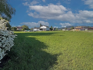 PRIVATVERKAUF: 814 qm Baugrund in der Bodenseegemeinde Fußach, voll erschlossen und teilbar Bild 6