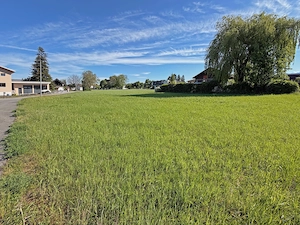 PRIVATVERKAUF: 814 qm Baugrund in der Bodenseegemeinde Fußach, voll erschlossen und teilbar Bild 2