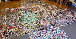 Privat organisierte Panini-Karten-Tauschbörse Bild 2