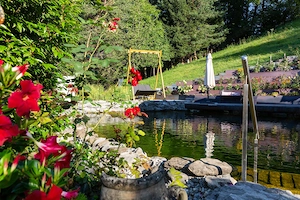 Day-Spa: Naturbadeteich-Paradiesgarten-Sonnenliegen-Sonnenschirme-Hallenbad und Außensauna  Bild 2