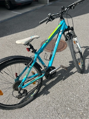 Genesis Fahrrad. Bild 5