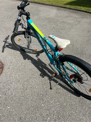 Genesis Fahrrad. Bild 4