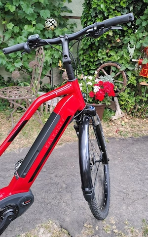 Kalkhoff Endeavour 3.B8 Move Trekking-E-Bike Bild 2