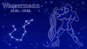 Wassermann Mann sucht ... Welches Sternzeichen  Bild 2