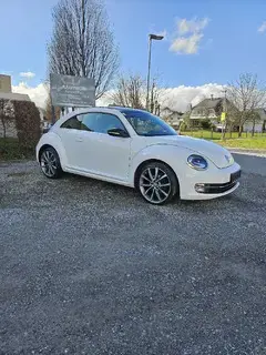 VW Beetle Sky 1.6 TDI Bild 5