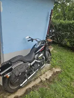 Harley Davidson FD2 FXDF Dyna Fat Bob Bild 5