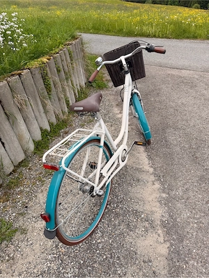 Citybike in gutem Zustand Bild 4