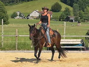 pferde ausbilden,pony reiten, Reituntericht  Bild 2
