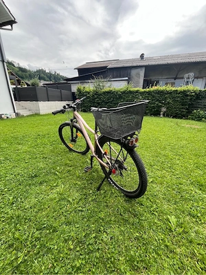 Jugendfahrrad Scott zu verkaufen Bild 3