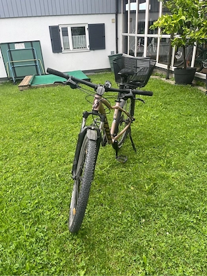 Jugendfahrrad Scott zu verkaufen Bild 4