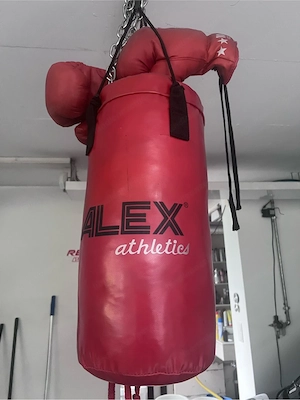 Boxssack ALEX