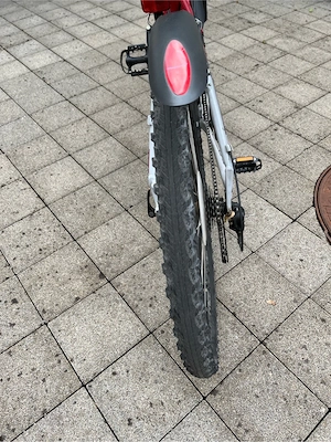 Mountainbike Fokus Bild 5