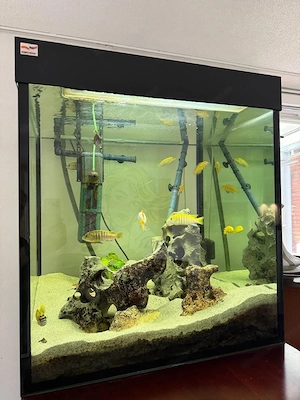 Aquarium 340 Liter Bild 4