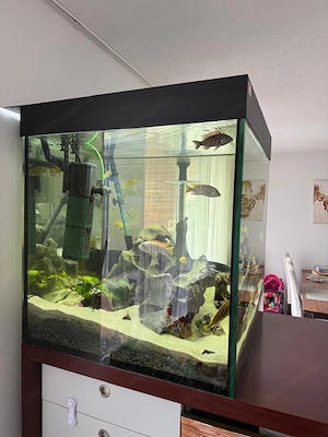 Aquarium 340 Liter Bild 3
