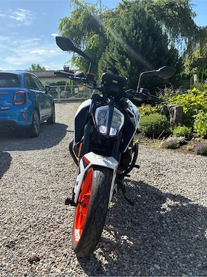 KTM Duke 390 | Baujahr 2019 | Erstbesitz | ca. 9.000 km |   3.500 VB Bild 4