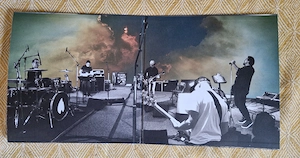 Pearl Jam - Gigaton 2 LP Bild 2