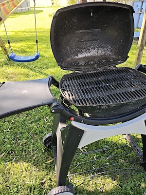Weber Gasgrill Bild 4