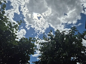 Hängematte Bild 3