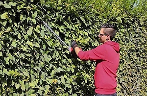 Artikel: Einhell electric hedge trimmer GC-EH 5550 (550 watts, 500 mm cutting length, 26 mm tooth sp Bild 5