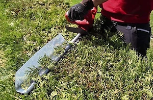 Artikel: Einhell electric hedge trimmer GC-EH 5550 (550 watts, 500 mm cutting length, 26 mm tooth sp Bild 3