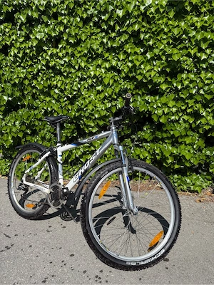 Jugendfahrrad Bild 3