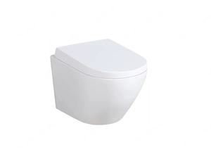 Geberit Vorwandelement Setangebot Wand WC Sitz komplett mit Platte 7 in1 XXXL Bild 5