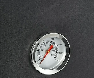 Artikel: NEU Gas Raeucherofen Smoker Grill BBQ Gasgrill Hochwertiger Artikel aus unserem Online-Shop Bild 6